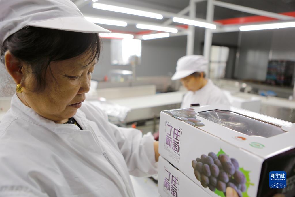 小玛丽水果机